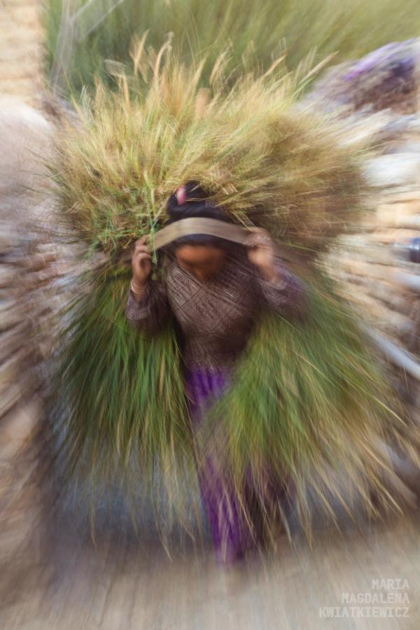 Gallery image Obiektyw