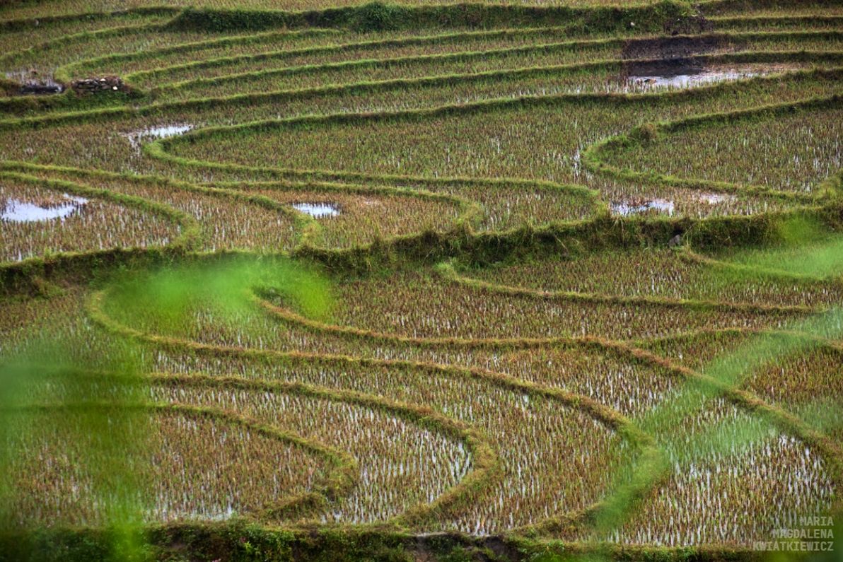 Gallery image Obiektyw