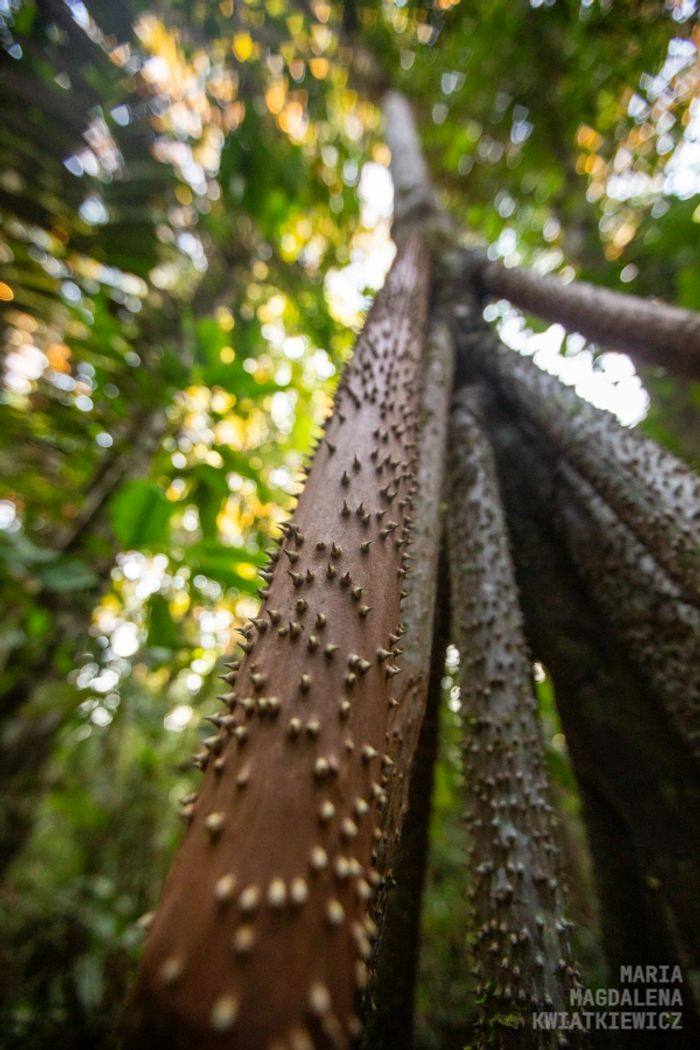 Gallery image Obiektyw