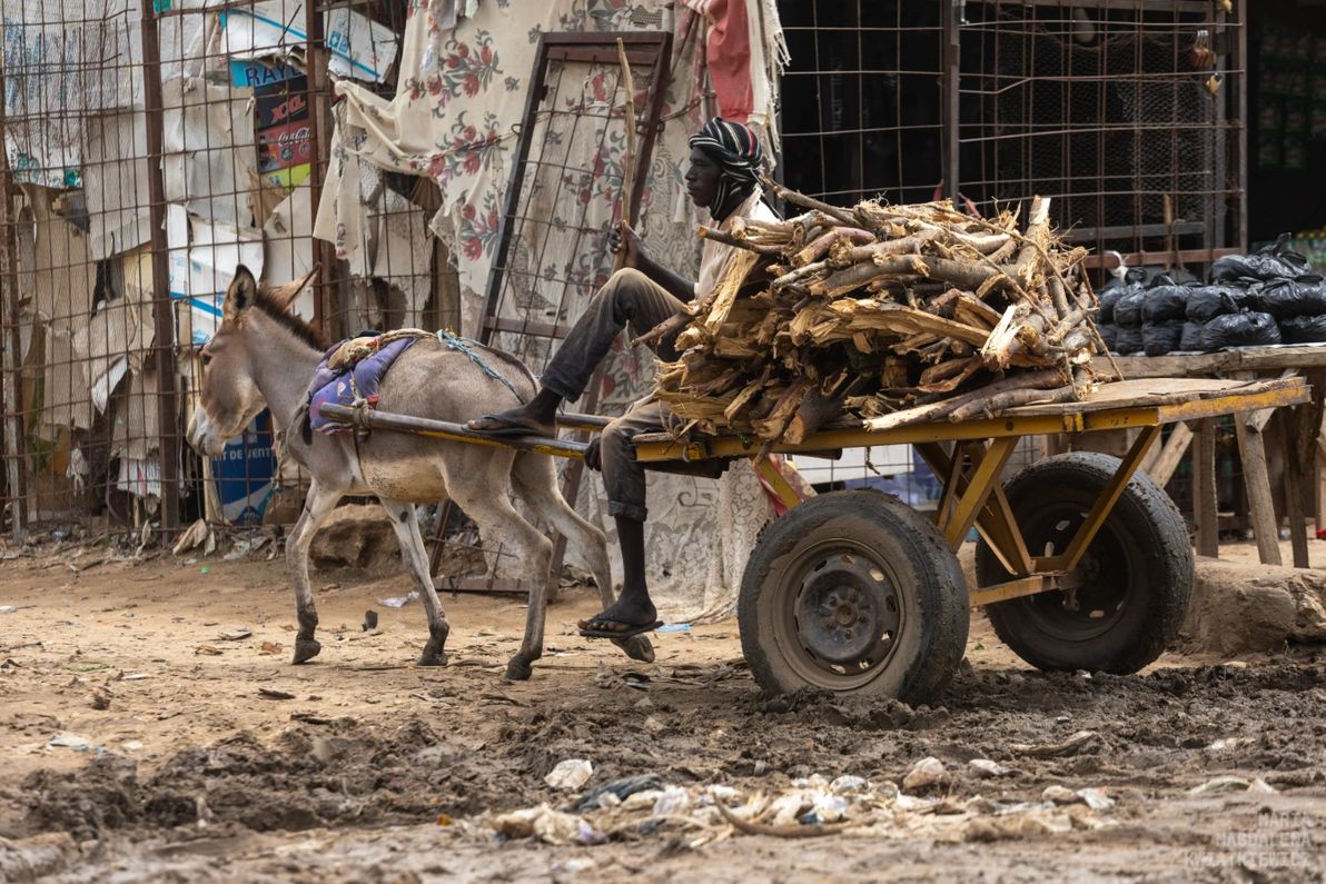 Gallery image Obiektyw