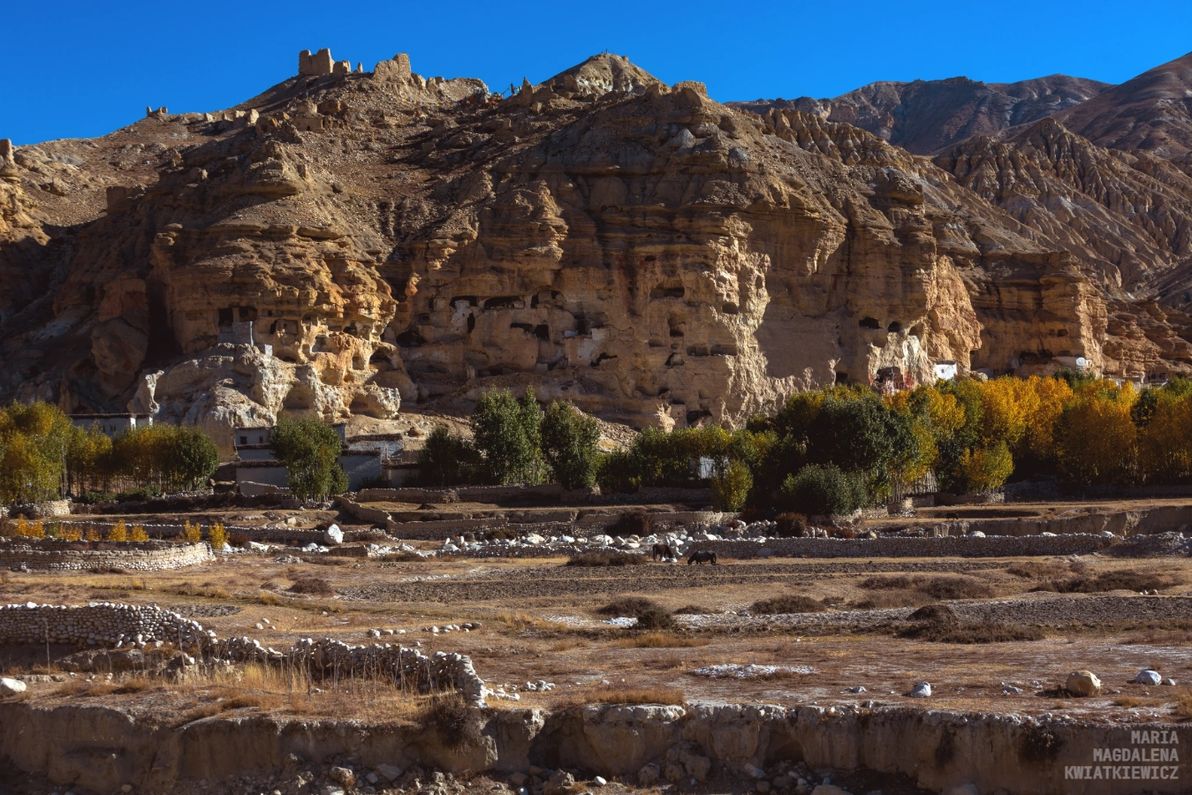 Gallery image Obiektyw