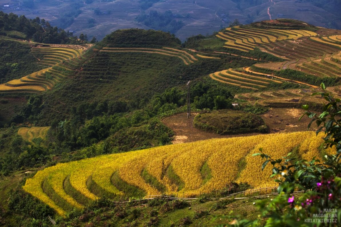 Gallery image Obiektyw