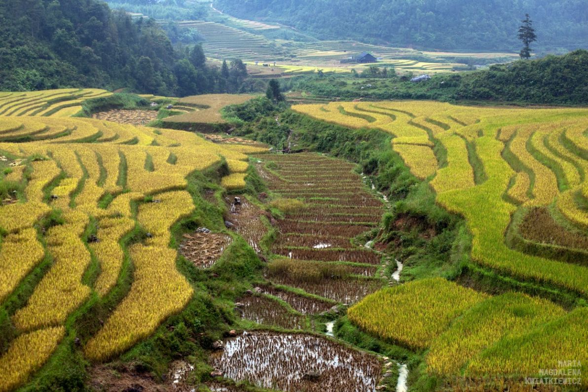 Gallery image Obiektyw