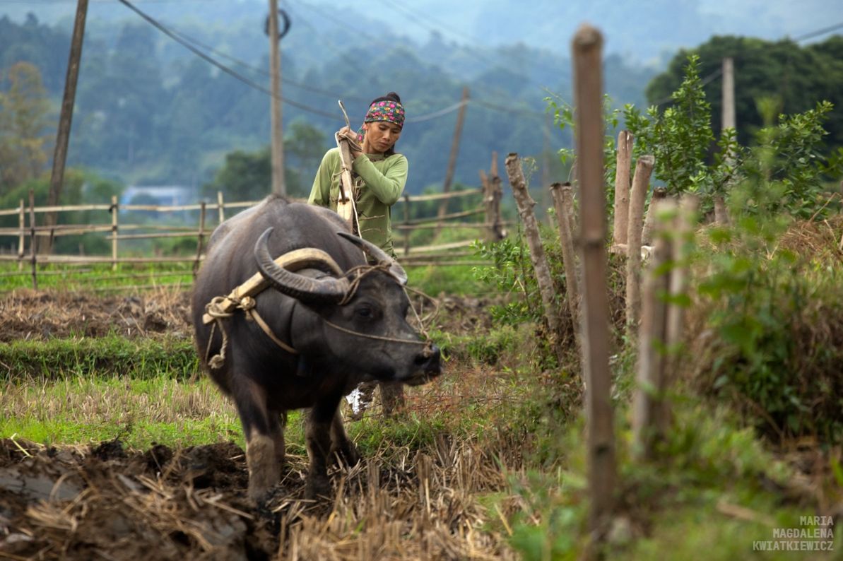 Gallery image Obiektyw