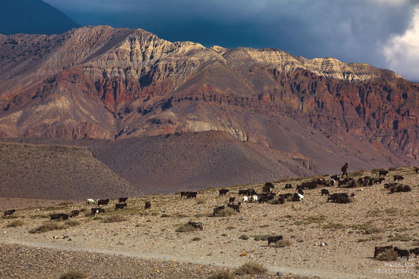 Gallery image Obiektyw