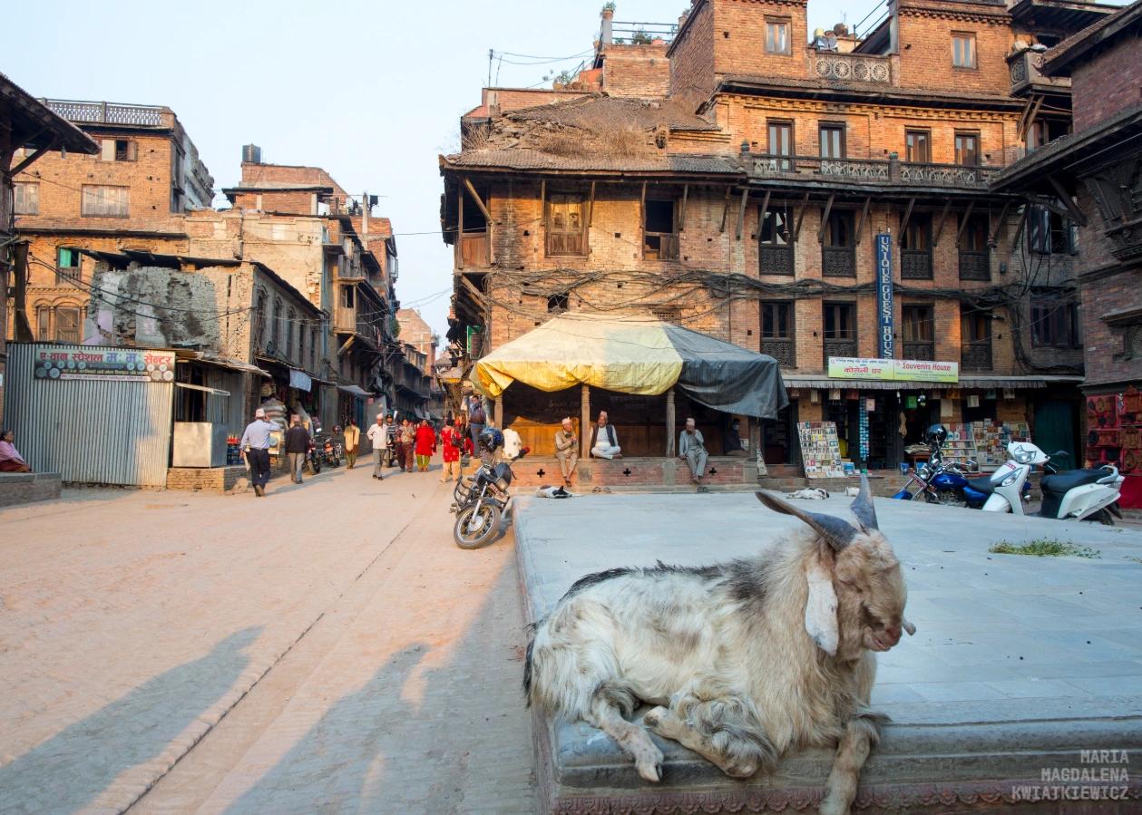 Gallery image Obiektyw