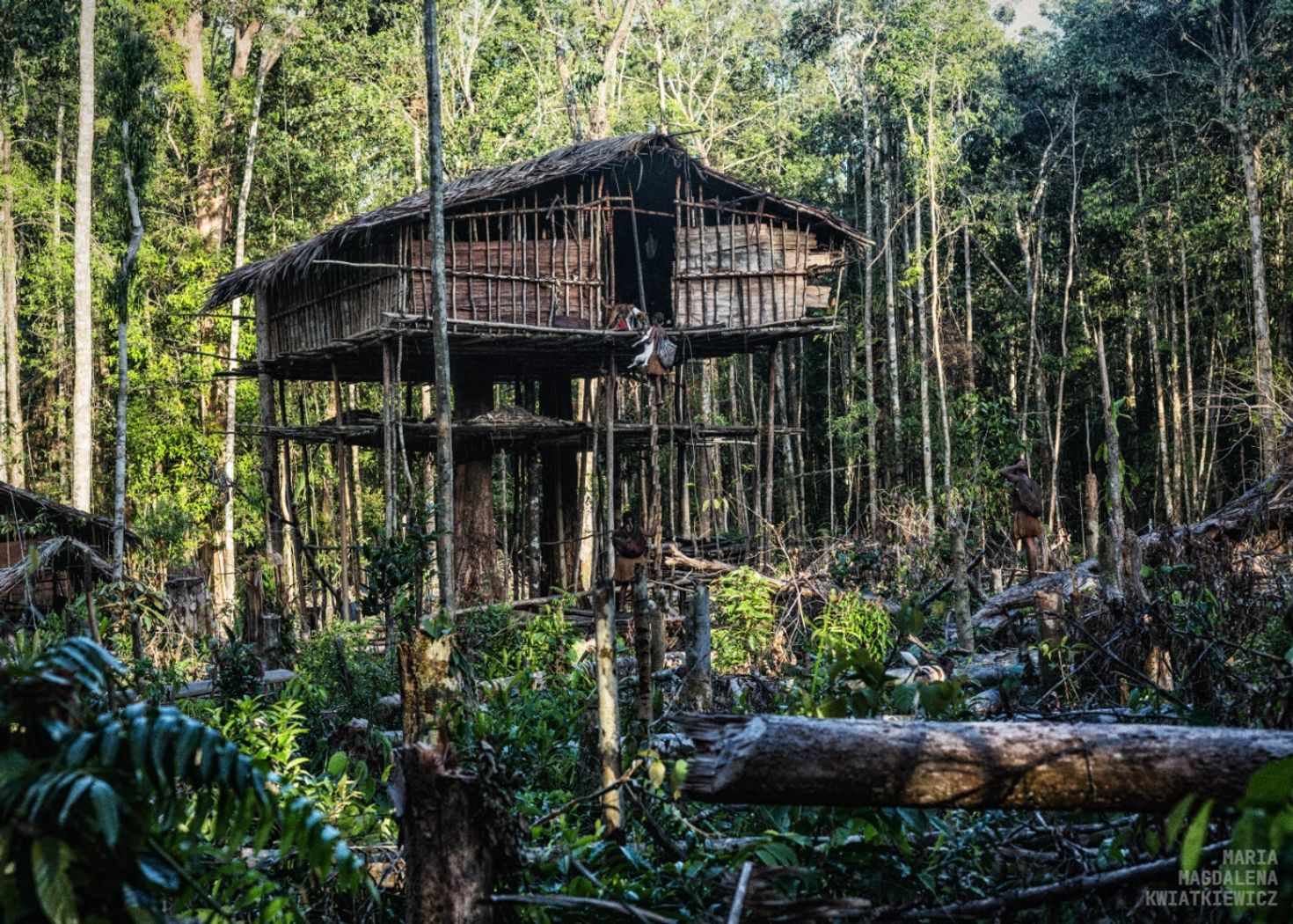 Gallery image Obiektyw