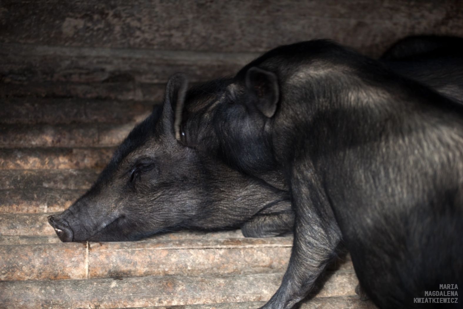 Gallery image Obiektyw