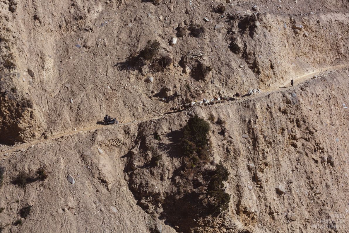 Gallery image Obiektyw