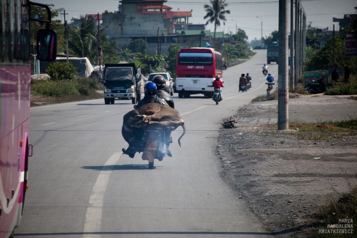 Gallery image Obiektyw