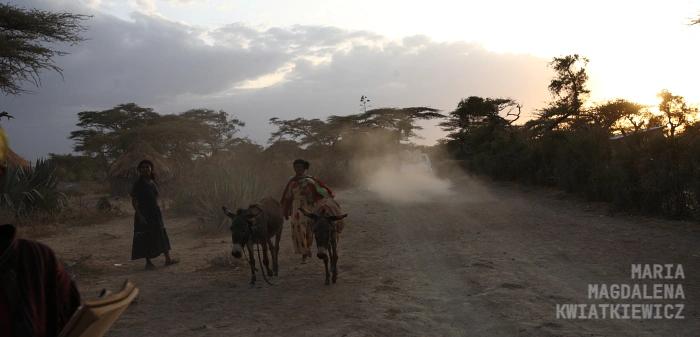 Gallery image Obiektyw