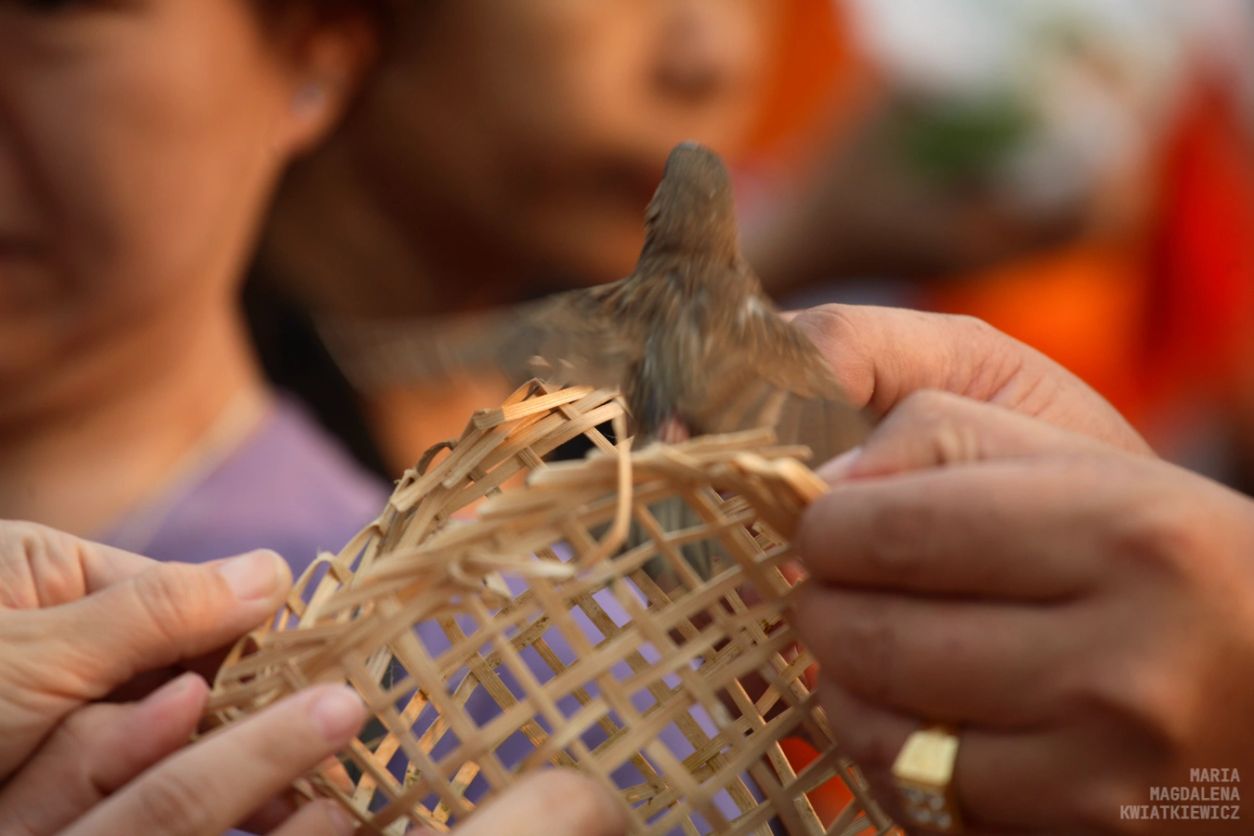 Gallery image Obiektyw