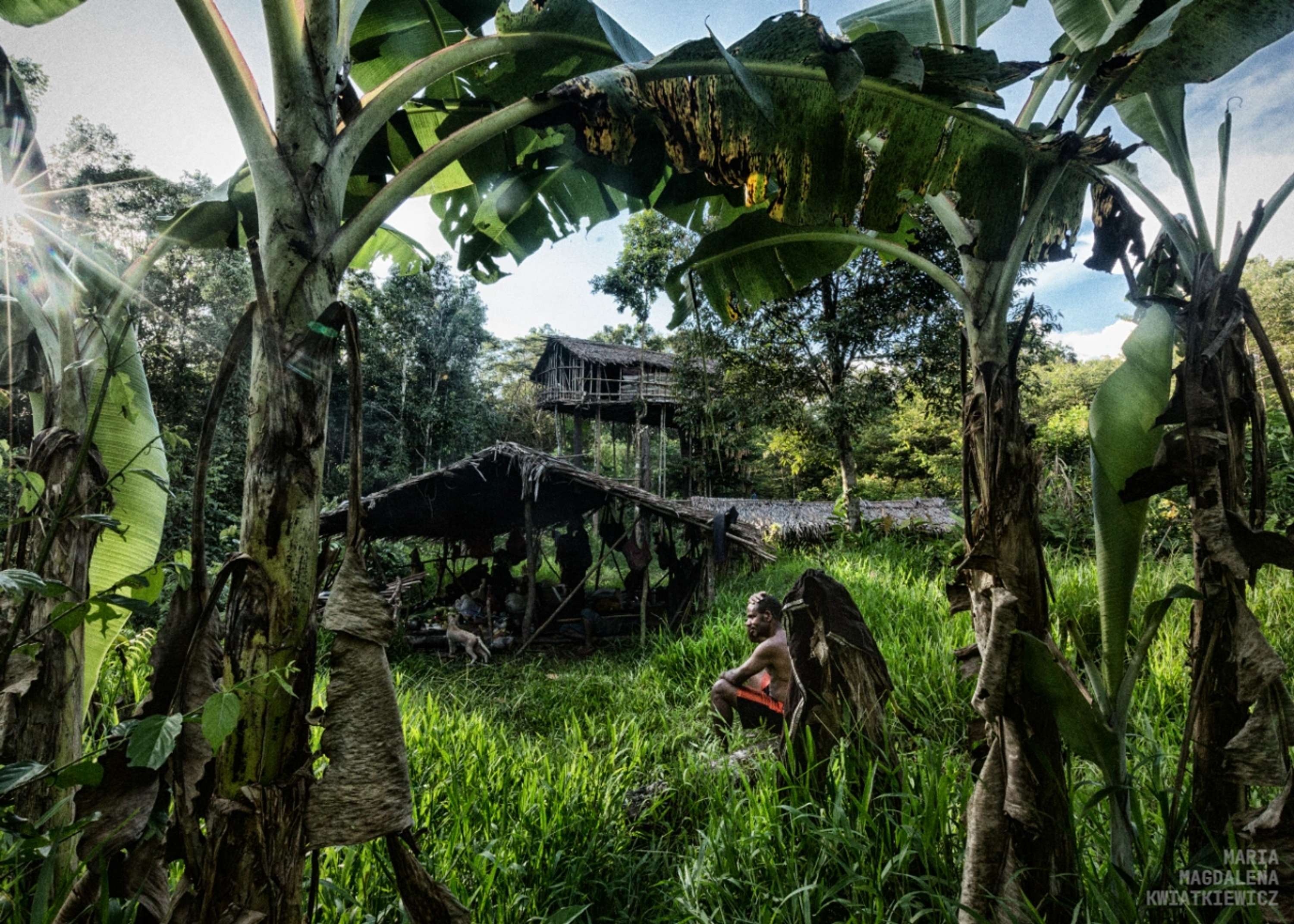 The Korowai: People of the Trees