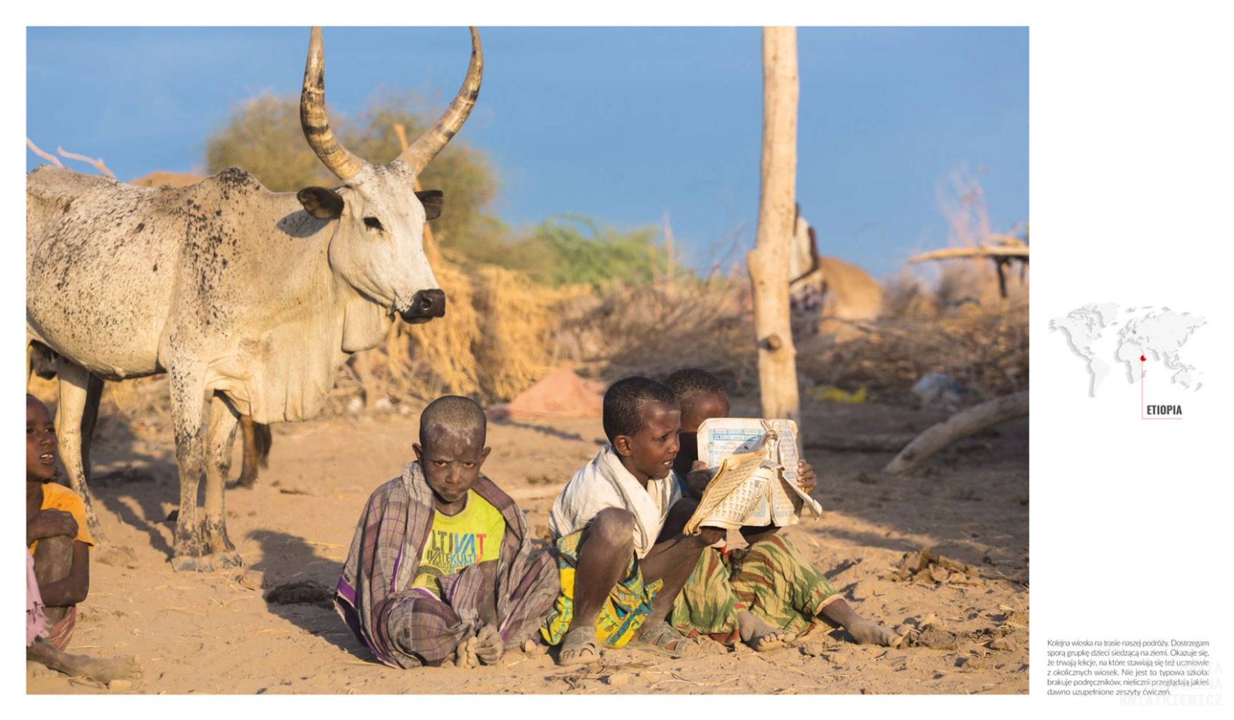 Gallery image Obiektyw