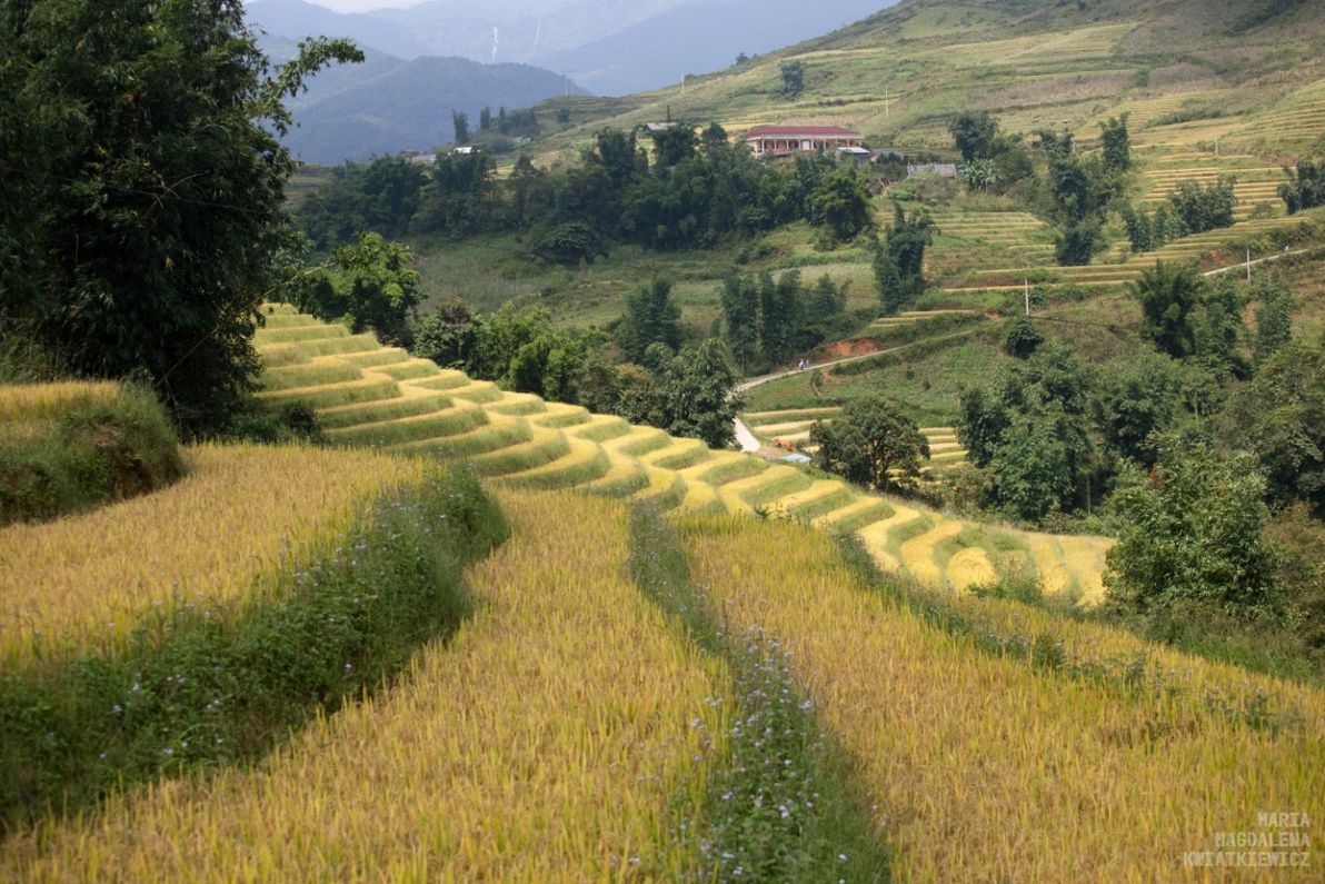 Gallery image Obiektyw