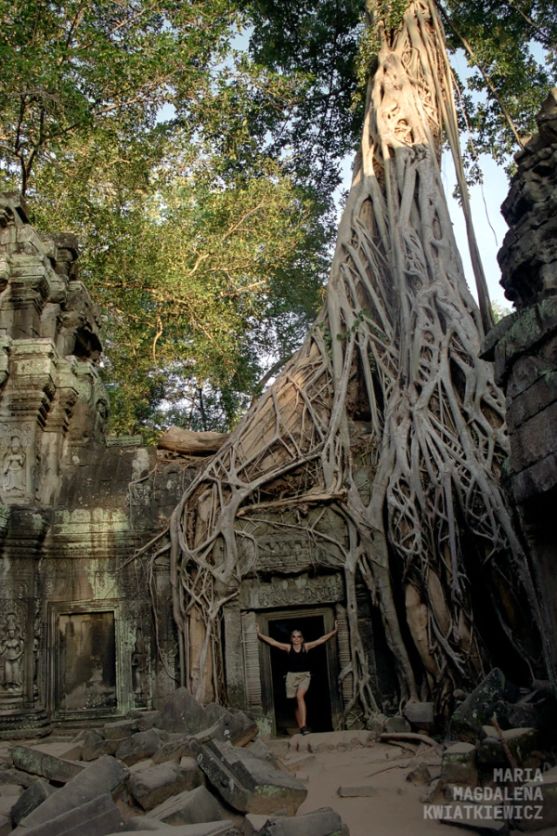 Gallery image Obiektyw