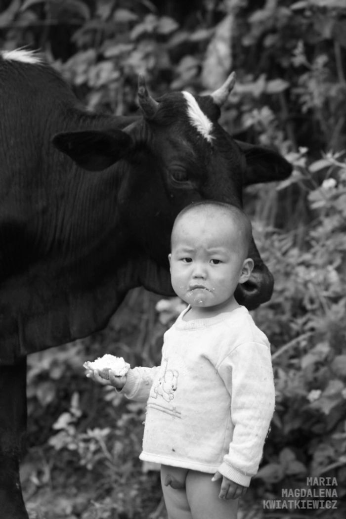 Gallery image Obiektyw