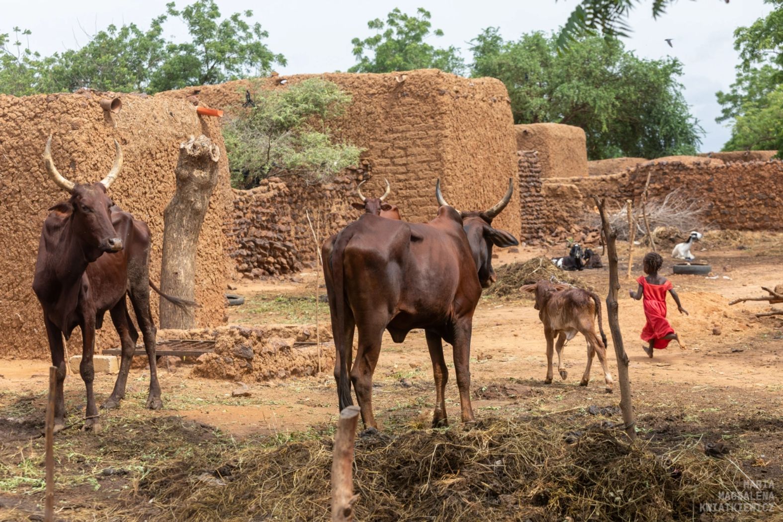 Gallery image Obiektyw