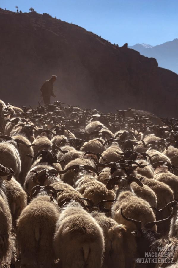 Gallery image Obiektyw