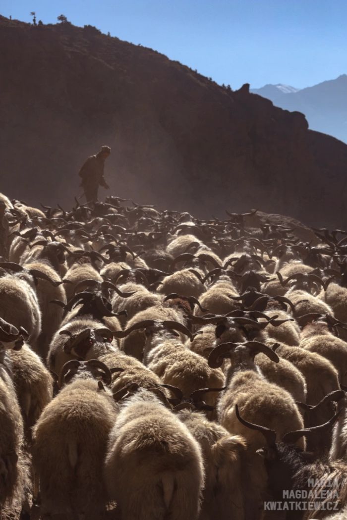 Gallery image Obiektyw