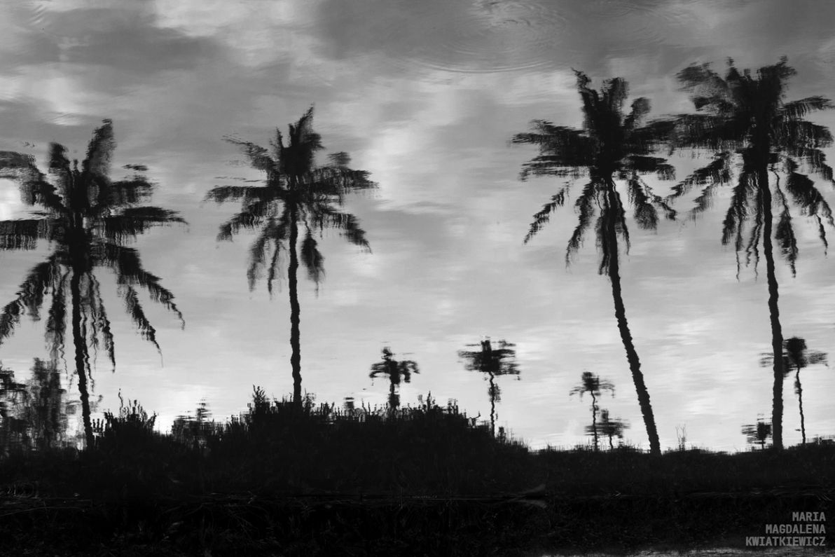 Gallery image Obiektyw