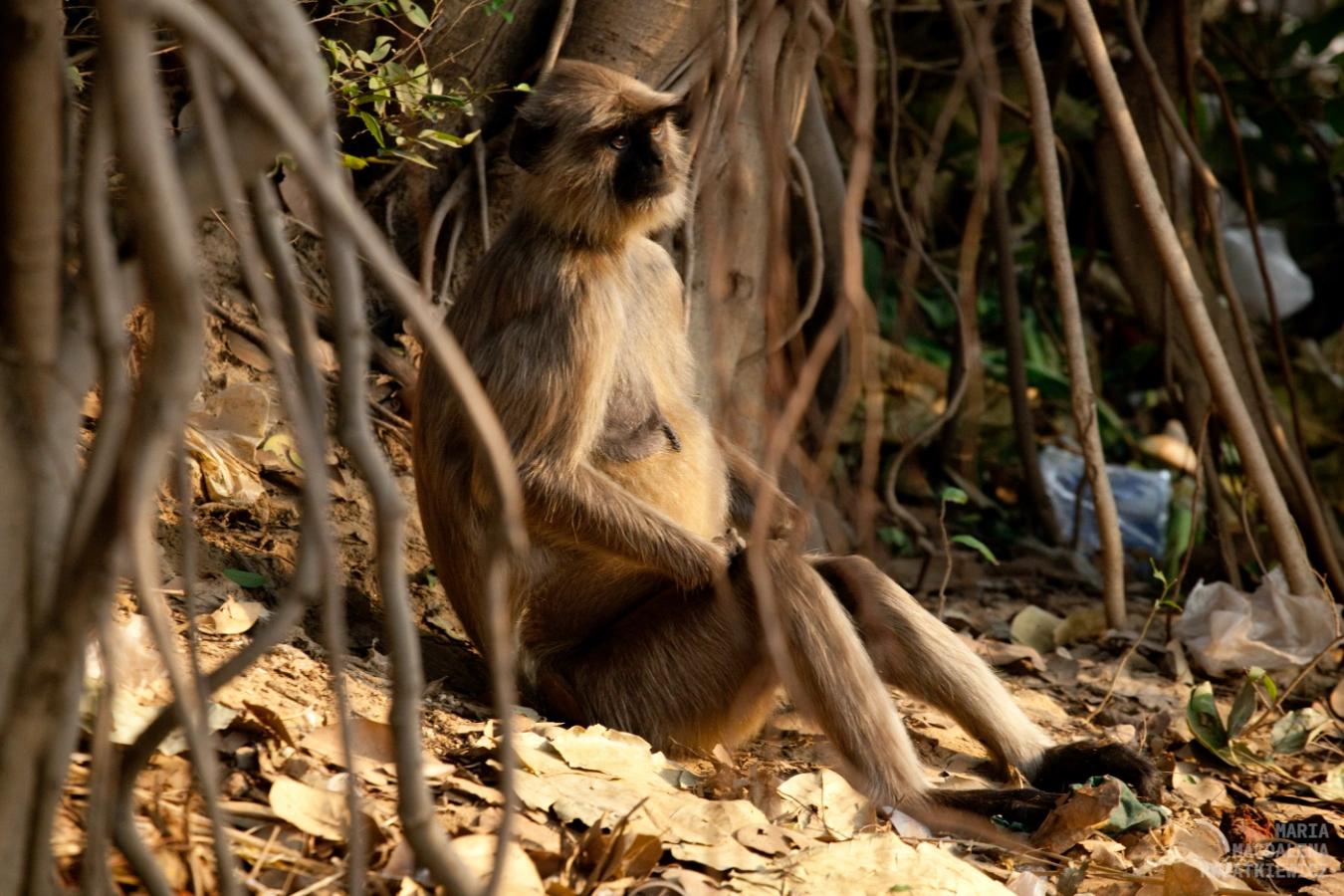 Gallery image Obiektyw