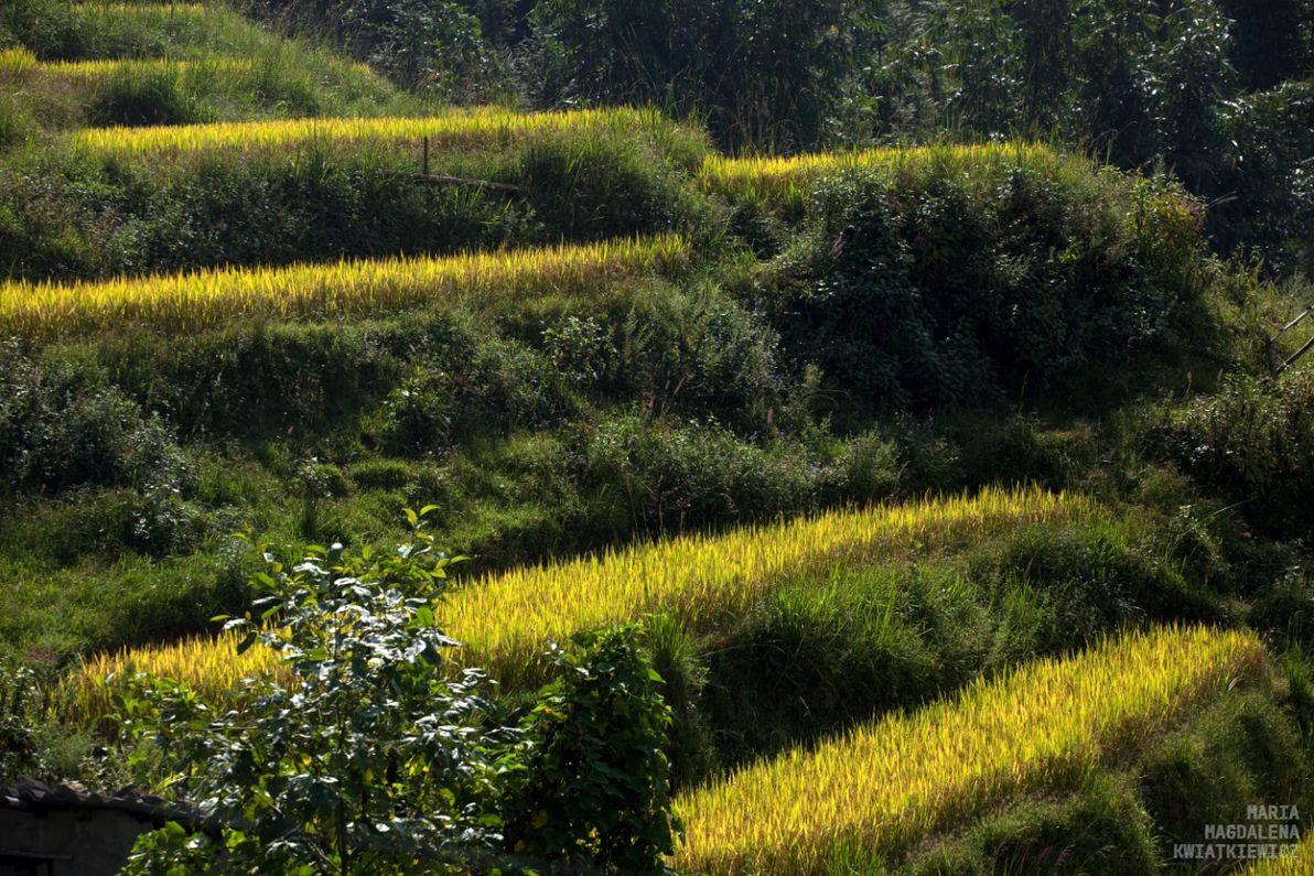 Gallery image Obiektyw