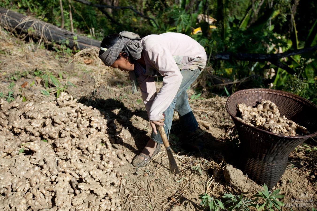 Gallery image Obiektyw