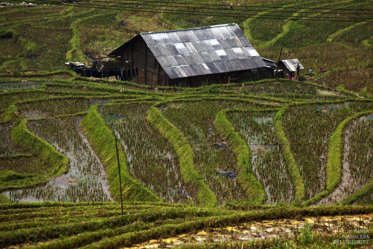 Gallery image Obiektyw