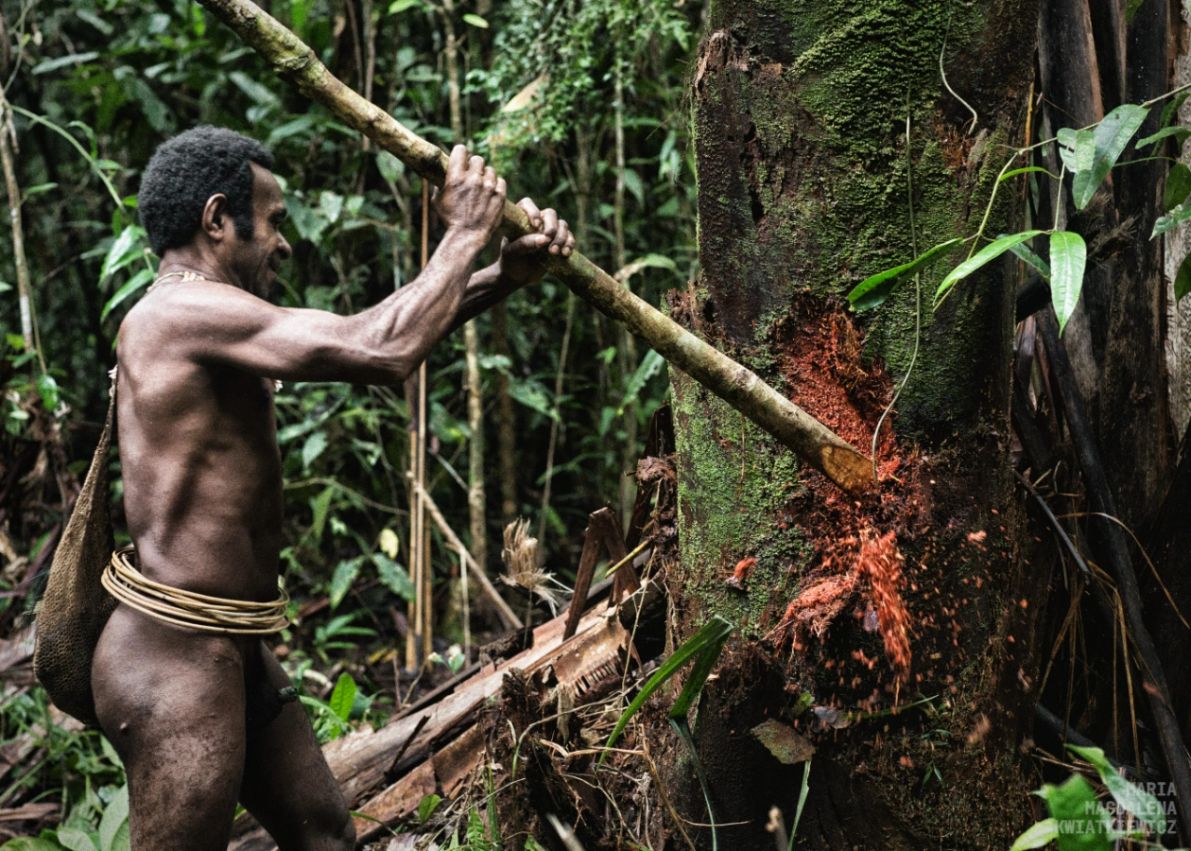 Gallery image Obiektyw