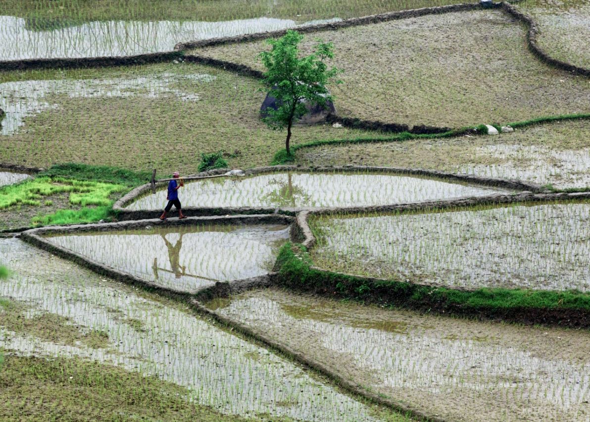 Gallery image Obiektyw