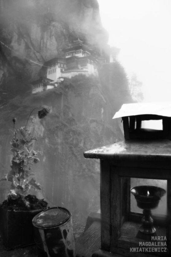 Gallery image Obiektyw