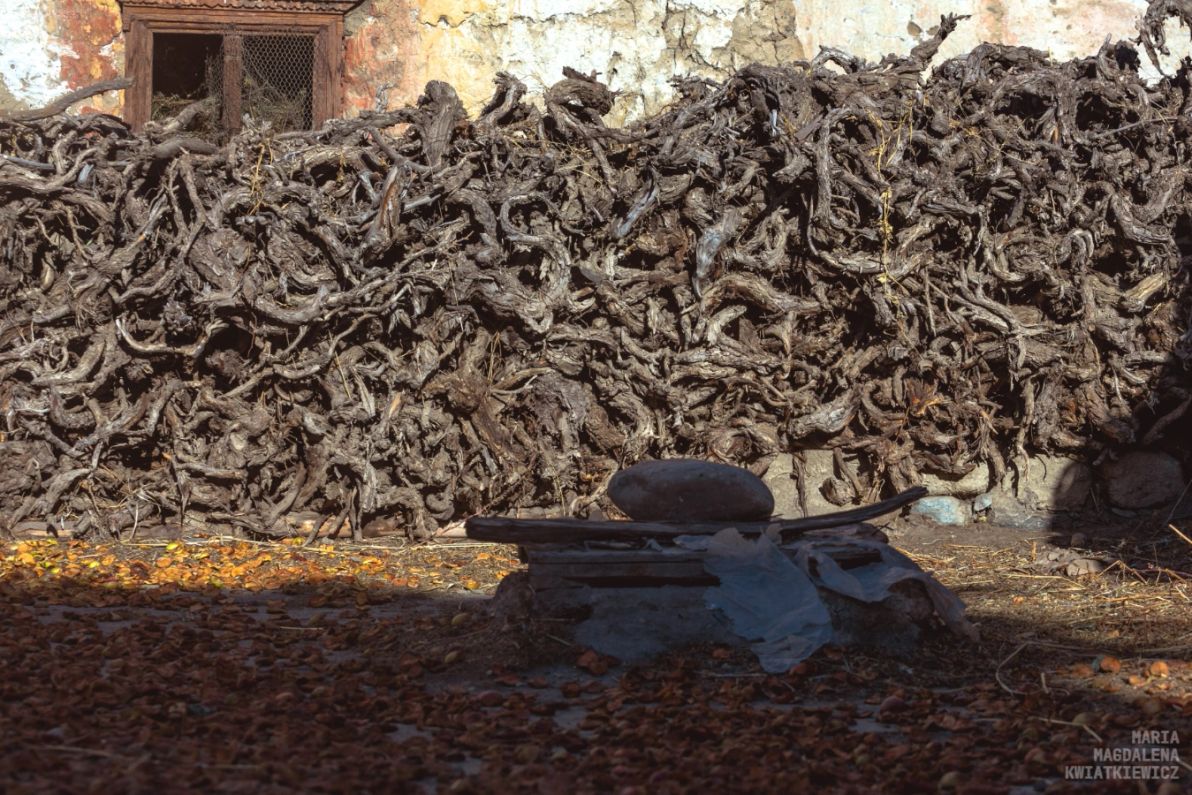 Gallery image Obiektyw