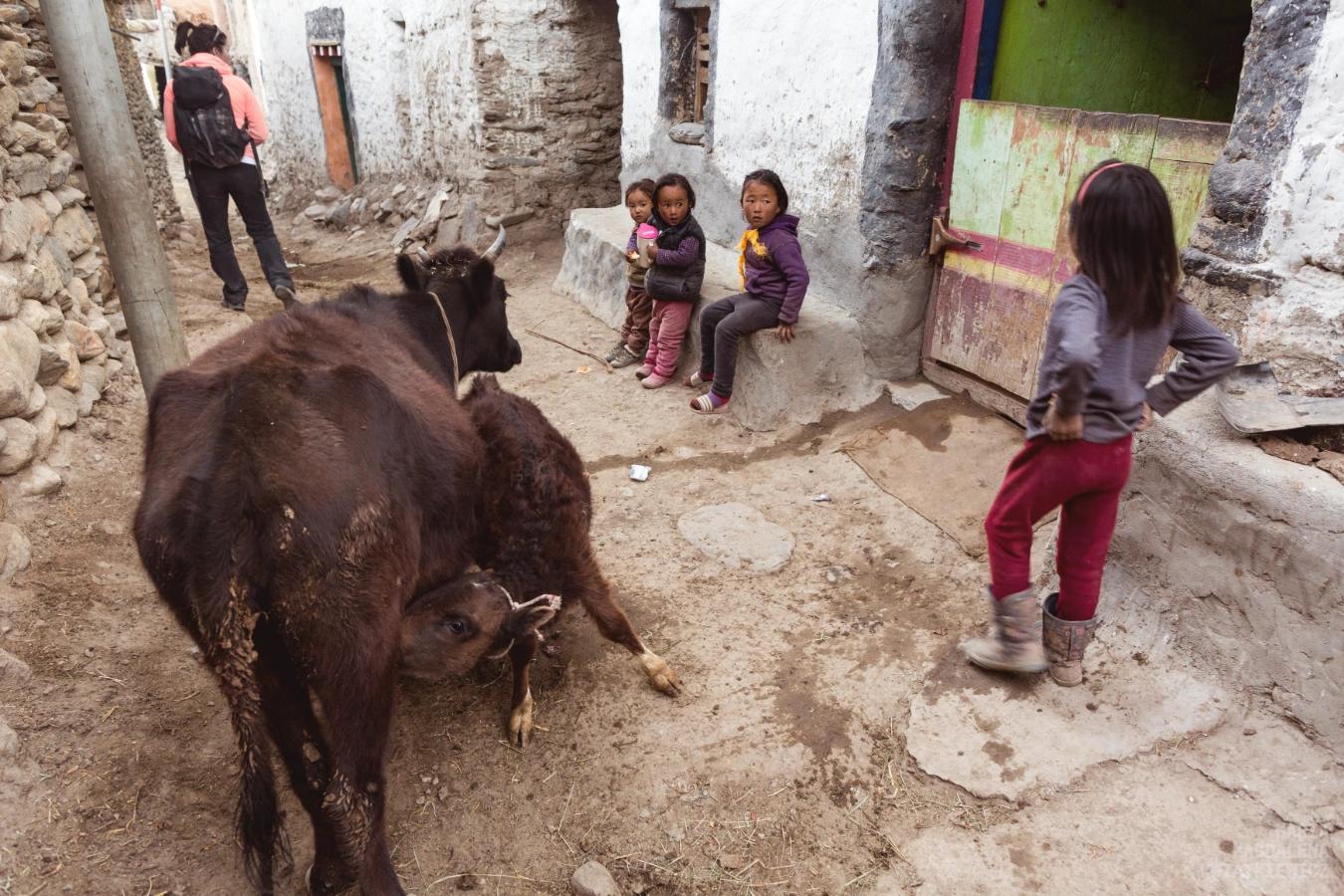 Gallery image Obiektyw