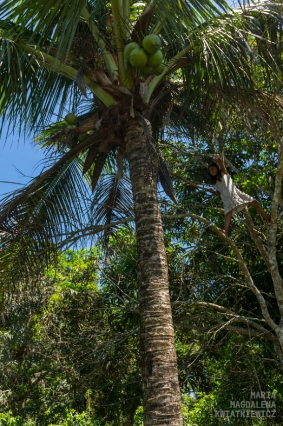 Gallery image Obiektyw