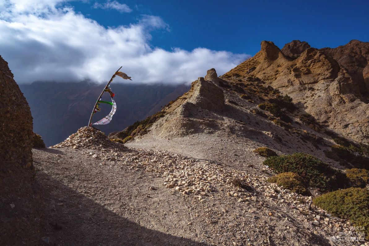 Gallery image Obiektyw