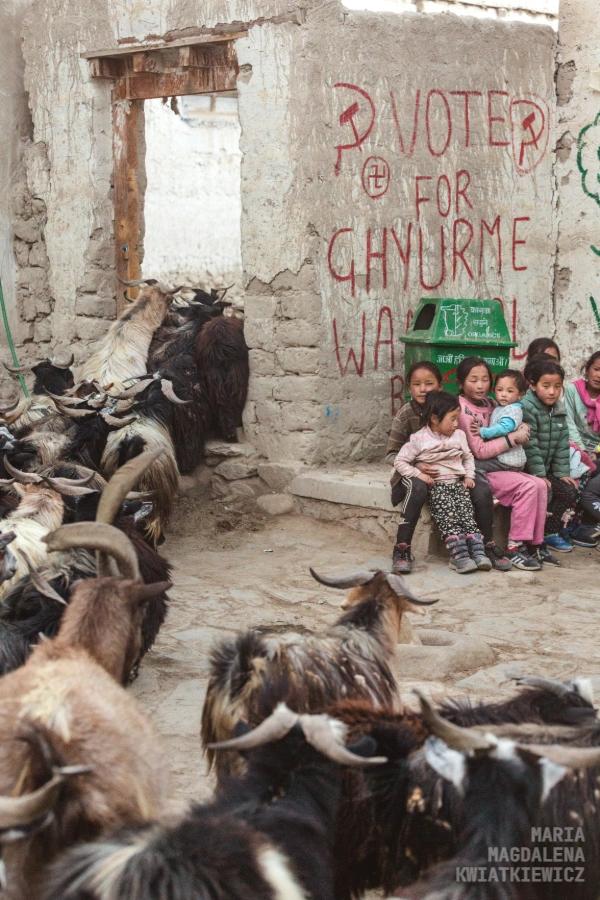 Gallery image Obiektyw