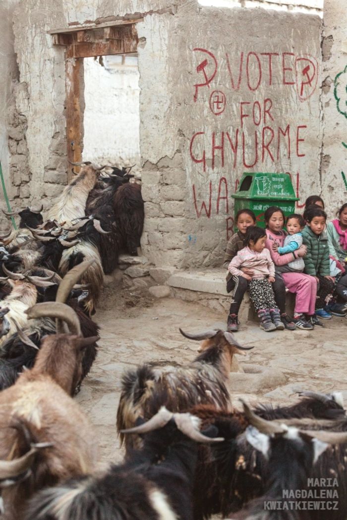 Gallery image Obiektyw