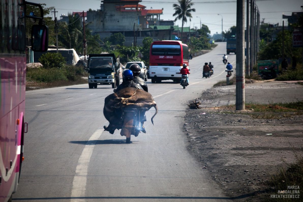 Gallery image Obiektyw