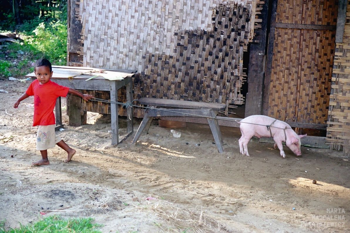 Gallery image Obiektyw