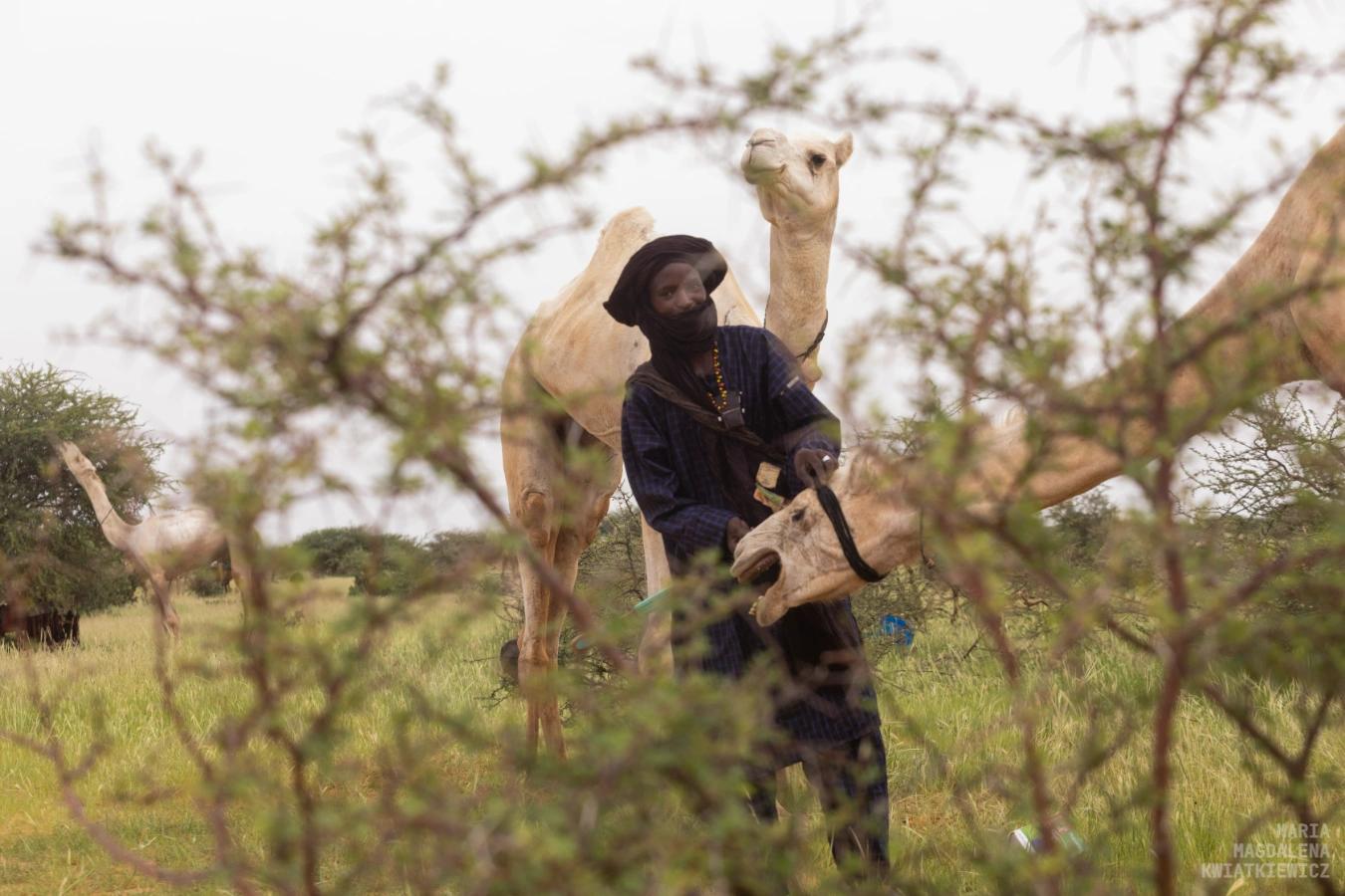 Gallery image Obiektyw