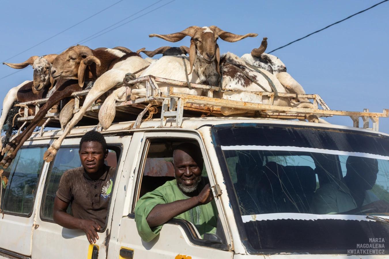 Gallery image Obiektyw