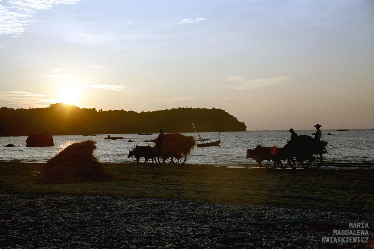 Gallery image Obiektyw