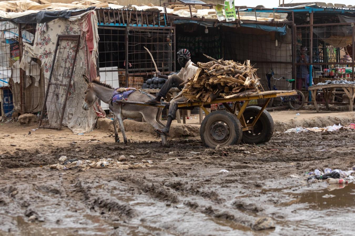 Gallery image Obiektyw