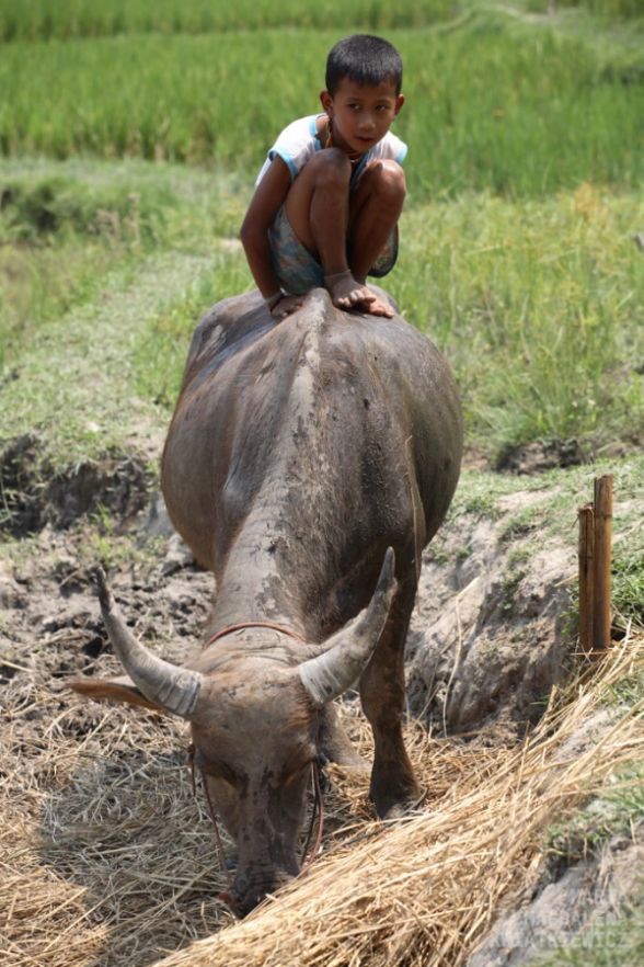 Gallery image Obiektyw