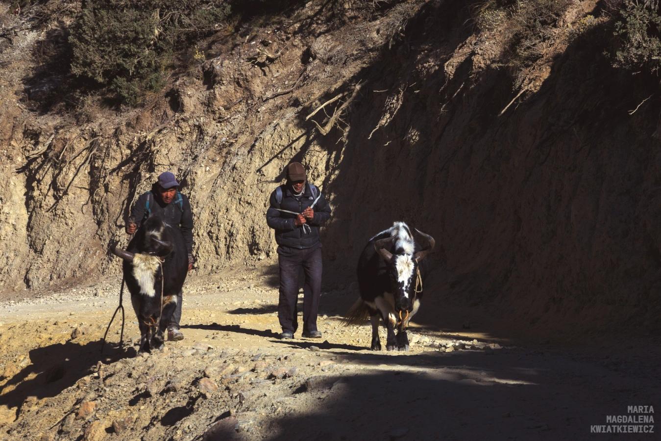 Gallery image Obiektyw