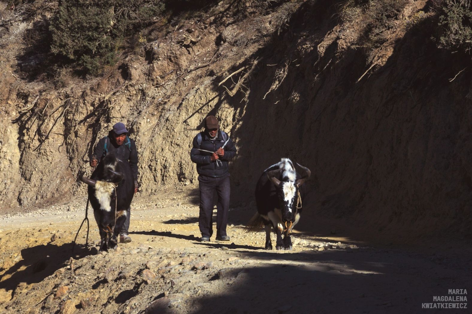 Gallery image Obiektyw