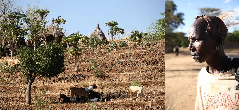 Gallery image Obiektyw