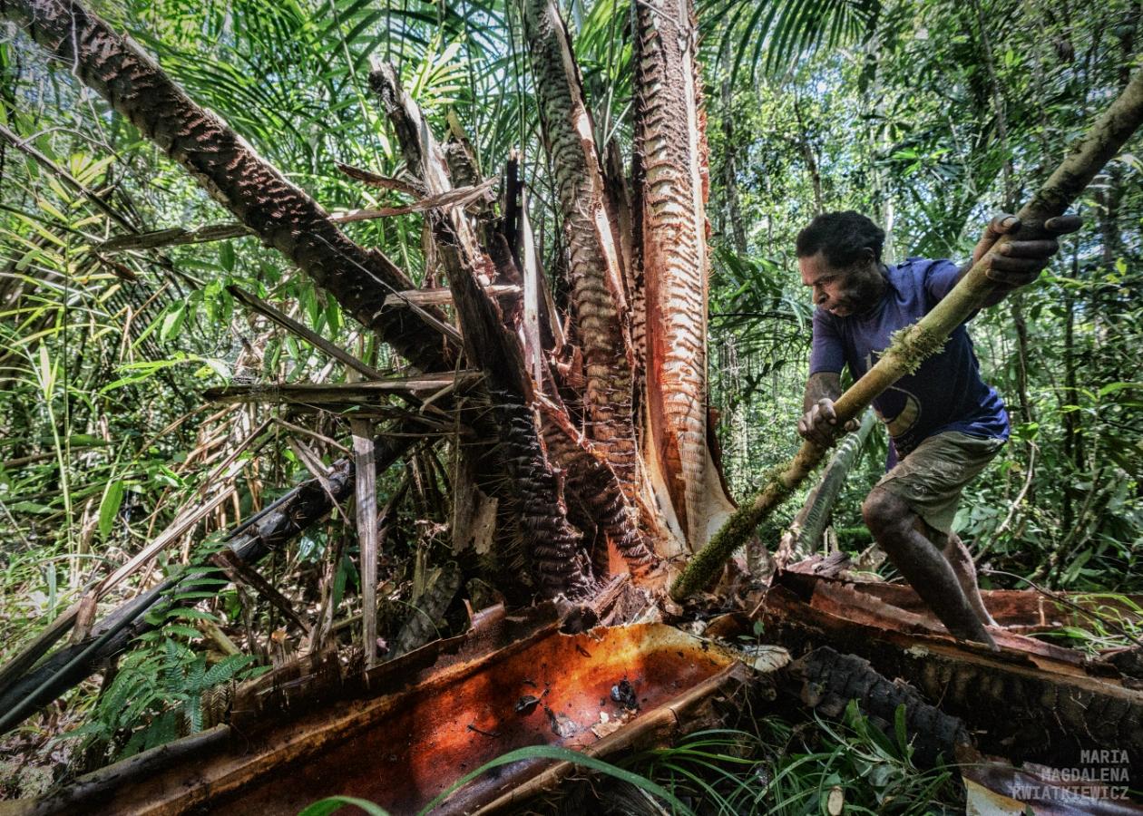 Gallery image Obiektyw