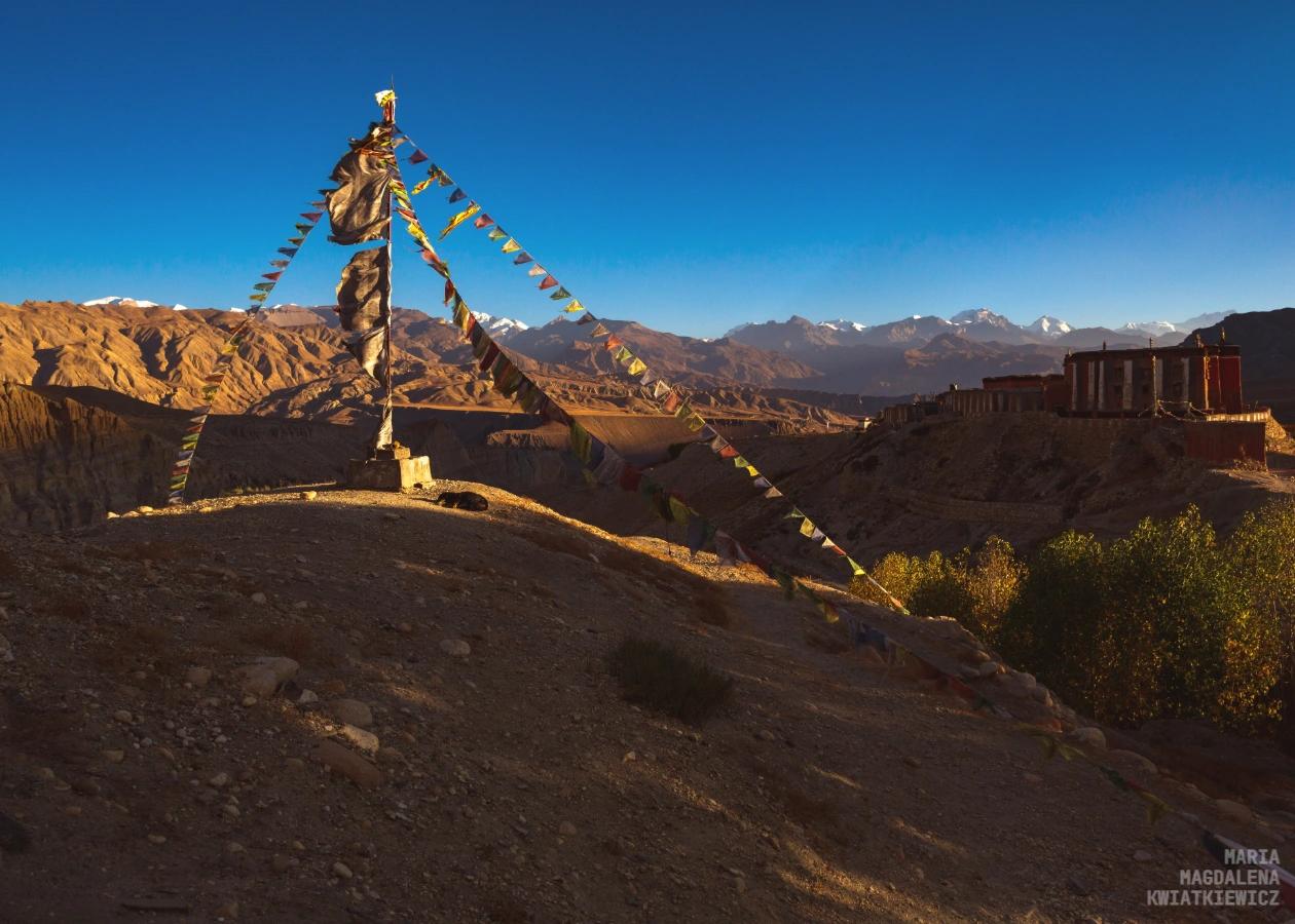 Gallery image Obiektyw